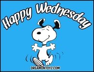 happy wednesday