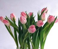 Spring Centerpiece