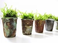 Thimble Planters