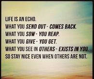 Life is an echo