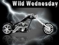 Wild Wednesday