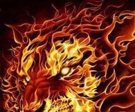 Lion Fire Static