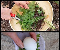 Cute egg craft