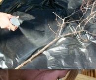 DIY Easter Egg Tree