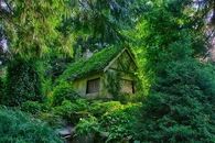 Hidden garden house