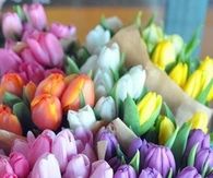 Easter flowers
