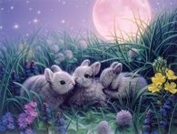 Three Sweet Little Bunnies by Kirk Reinhert