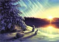 Bunnies watching the sunrise