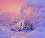 Wolf Cubs by Kirk Reinhert