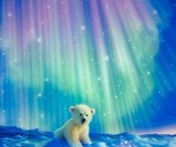 Polar Bears by Kirk Reinhert