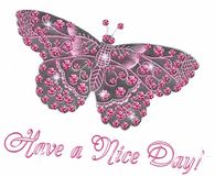 Have a nice day