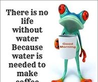 good morning