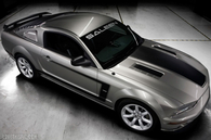 Saleen H302