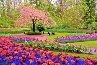 Colorful Landscaped Park