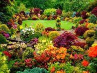 Colorful Garden