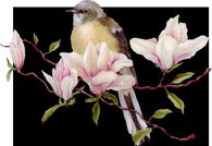 Bird in Spring