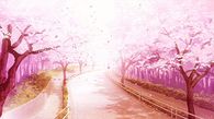 Blossoms Gently Falling