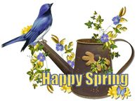 Happy Spring Blue Bird