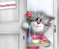 Good Morning