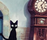 Cute Cat
