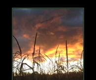 Happy Earth Day