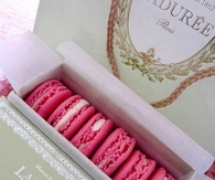 Pink macaroons