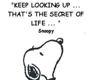 keep looking up