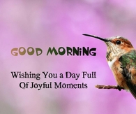 Good Morning