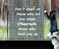 dont dwell on what went wrong
