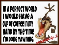in a perfect world