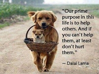 Our prime purpose in life