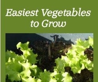 Easiest Vegetables to Grow
