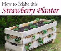 DIY Strawberry Planter
