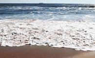 Ocean Waves