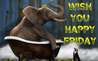 Wish you a happy friday
