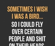 sometimes I wish I was a bird