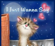 I Just Wanna Say Goodnight