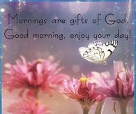 Good Morning Enjoy Your Day