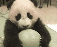 Panda with his ball