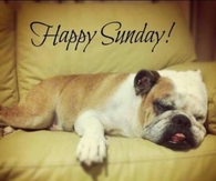 Happy Sunday