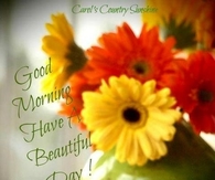 Good morning have a beautiful day