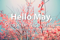 Hello May