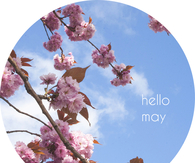 Hello May