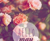 Hello May