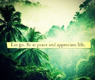 Let go, be at peace and appreciate life