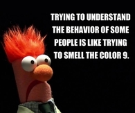 trying to understand the behavior of others