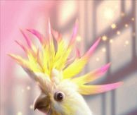 Parrot