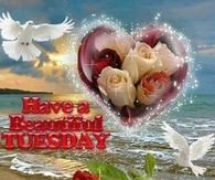 have a beautiful Tuesday
