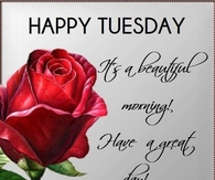 Happy Tuesday