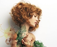 Faerie